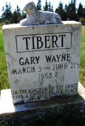 tibert-gary-wayne